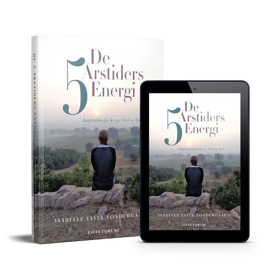 E-bok + trykt bok: The 5 Seasons of Energy