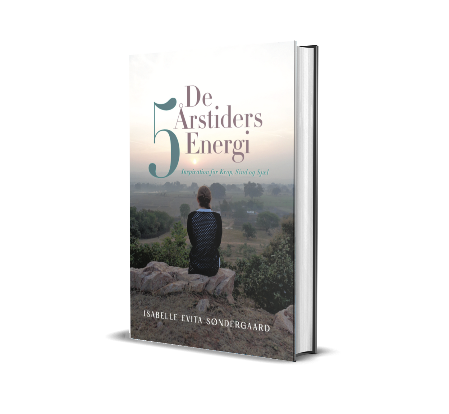 Trykt bok: The 5 Seasons of Energy