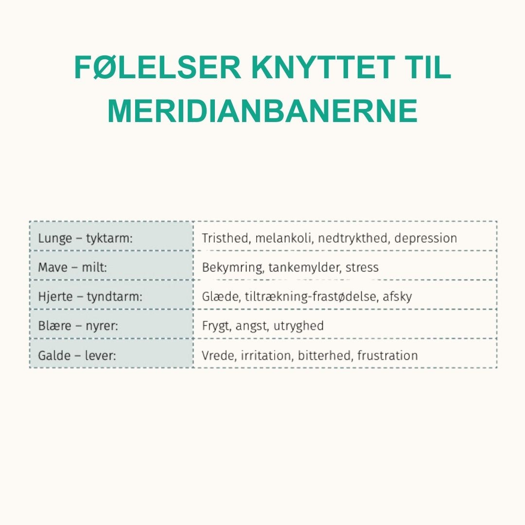 Trykt bog: De 5 Årstiders Energi