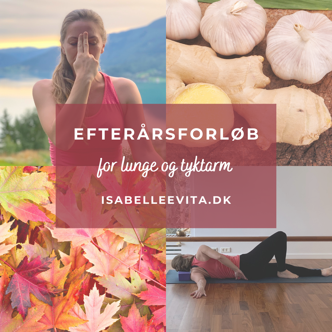 14-dages EFTERÅRSFORLØB FOR VEJRTRÆKNINGEN (LUNGE-TYKTARM)