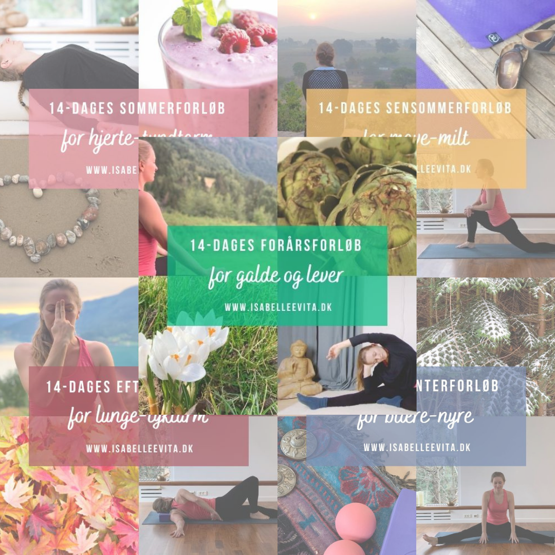 ALLE 5 ÅRSTIDSFORLØB