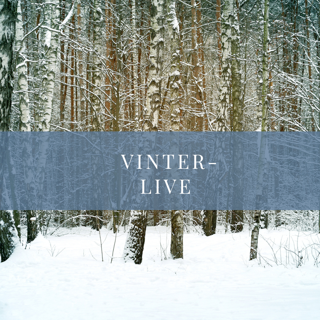 Årstids-live: vinter 31. januar