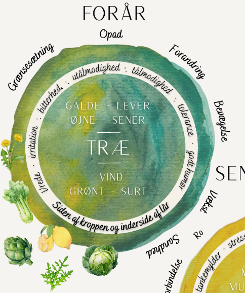 Plakat: De 5 Årstiders Energi