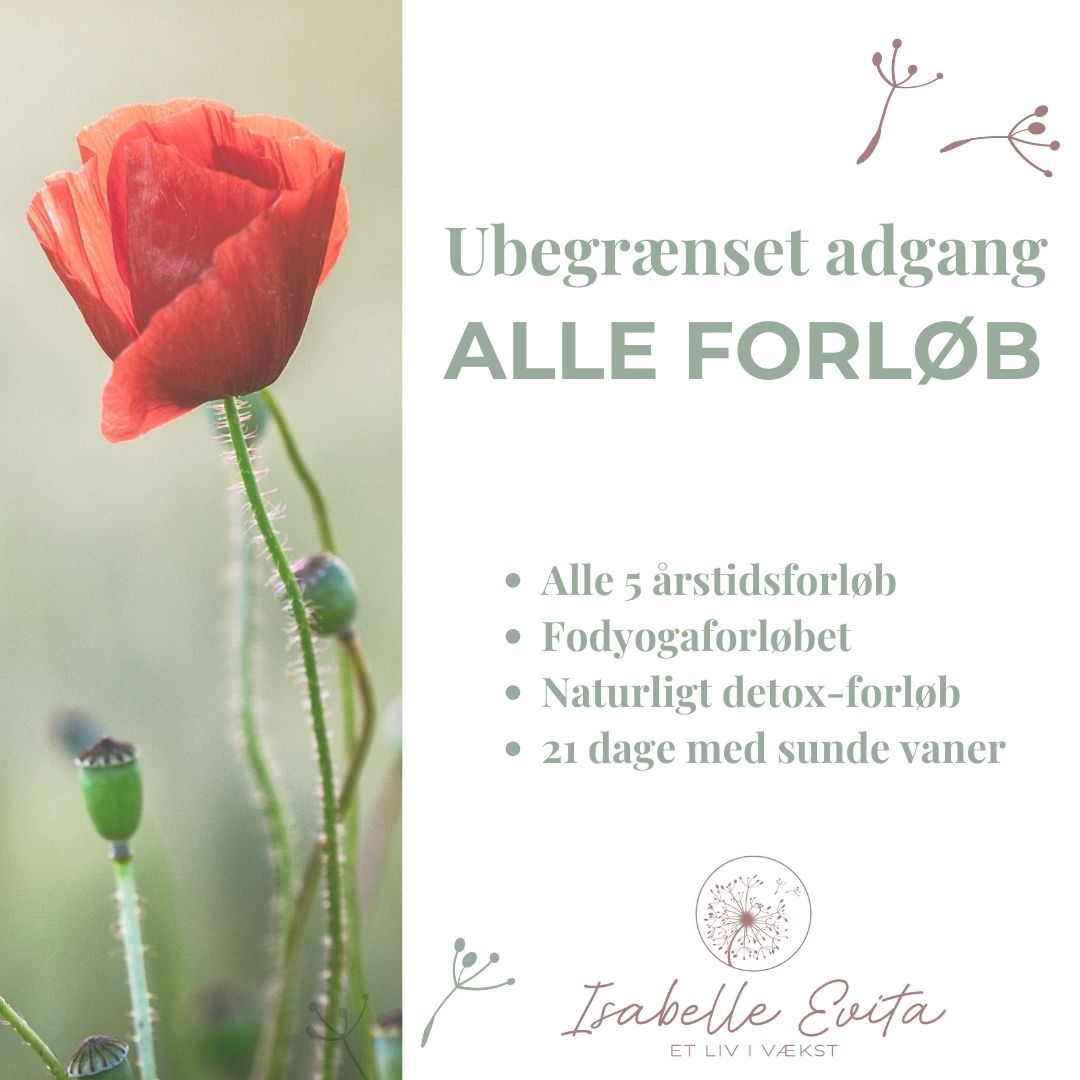SENSOMMERTILBUD Ubegrænset adgang: alle forløb