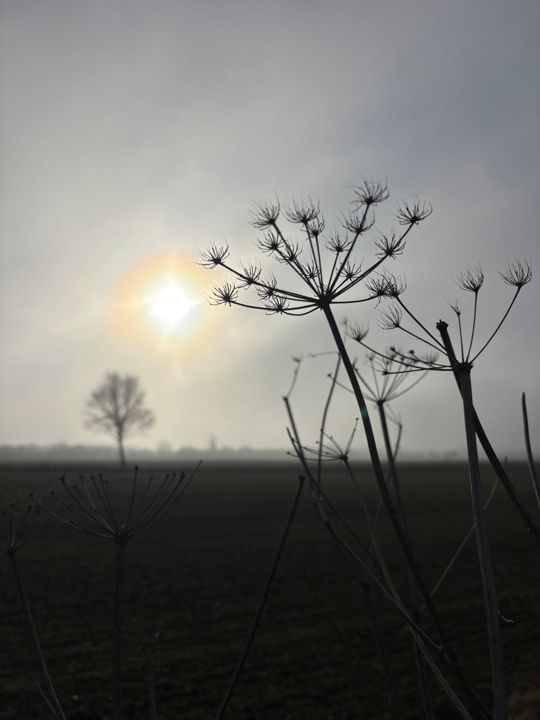 Glædeligt forårsjævndøgn 🌱☀️