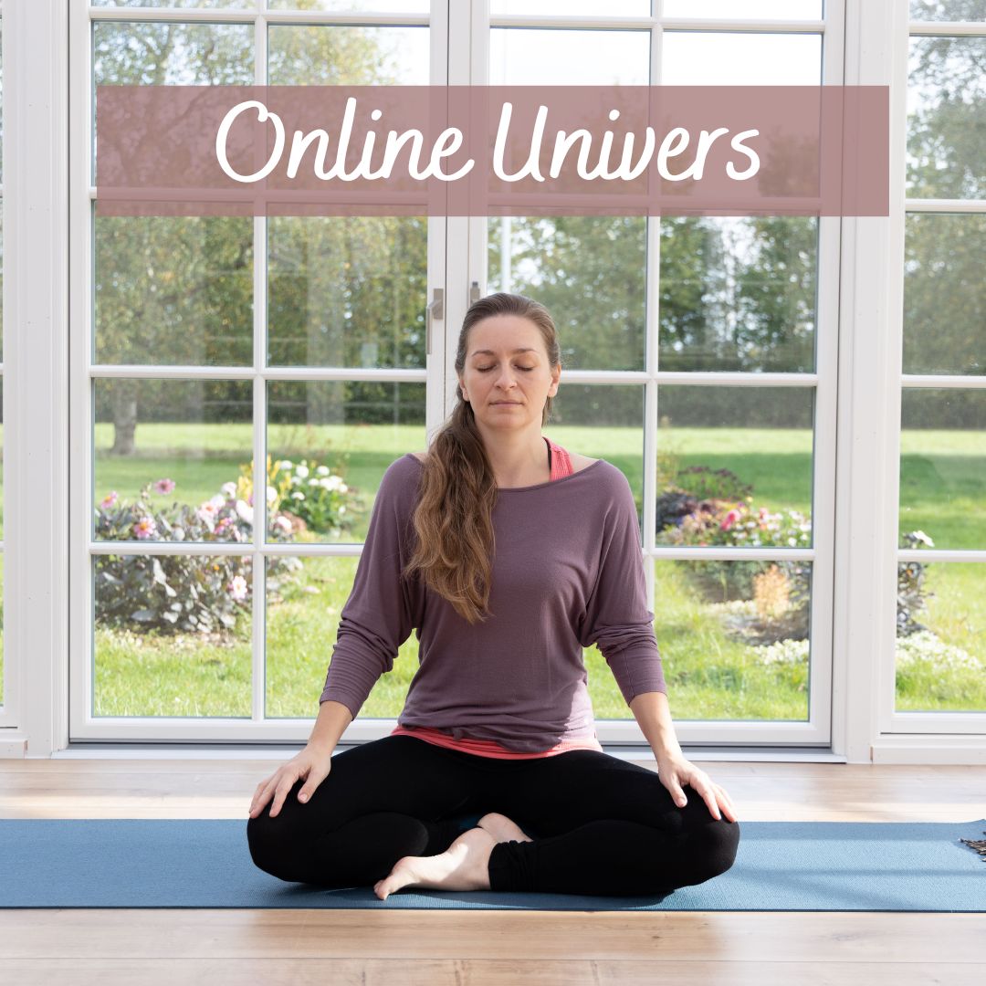 Online Univers