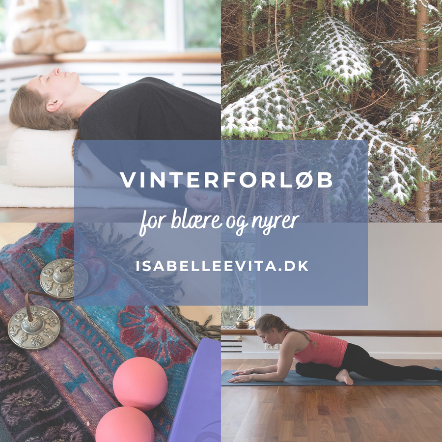 Vinterforløb for blære og nyre