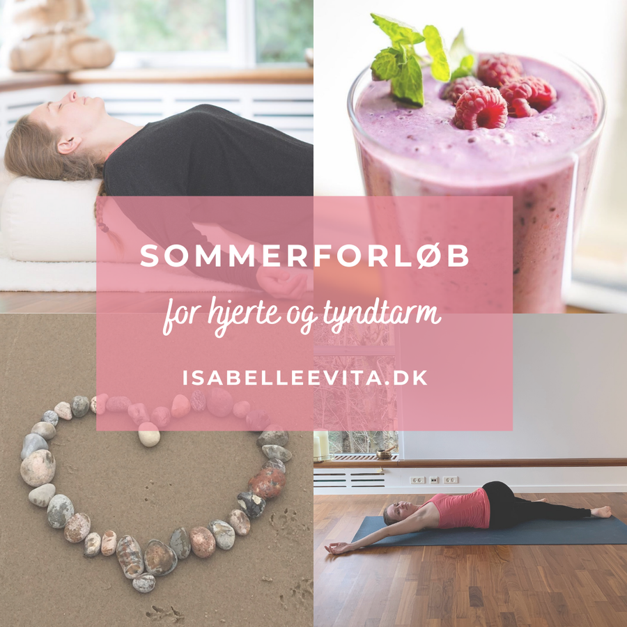 Sommerforløb for hjerte og tyndtarm