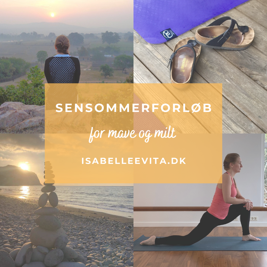 Sensommerforløb for mave og milt
