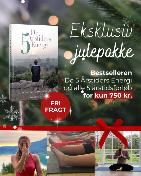 Julepakke-tilbud: Bog: De 5 Årstiders Energi + Alle 5 Årstidsforløb