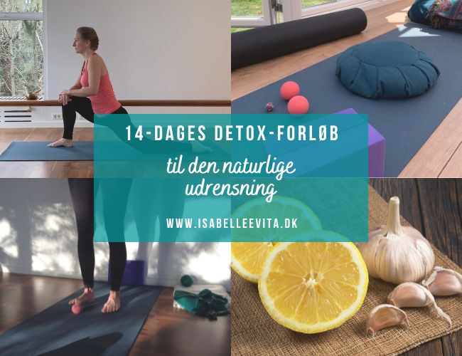 NATURLIGT DETOX-FORLØB