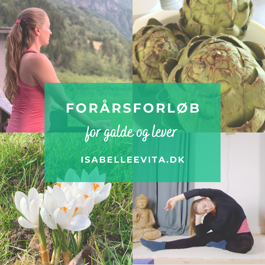 Forårsforløb for galde og lever