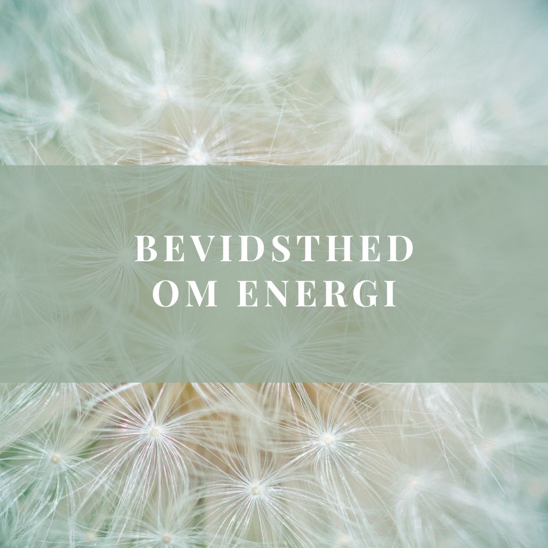 Bevidsthed om energi - 3 forløb