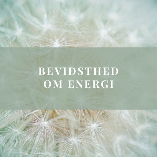 Bevidsthed om energi - 3 forløb