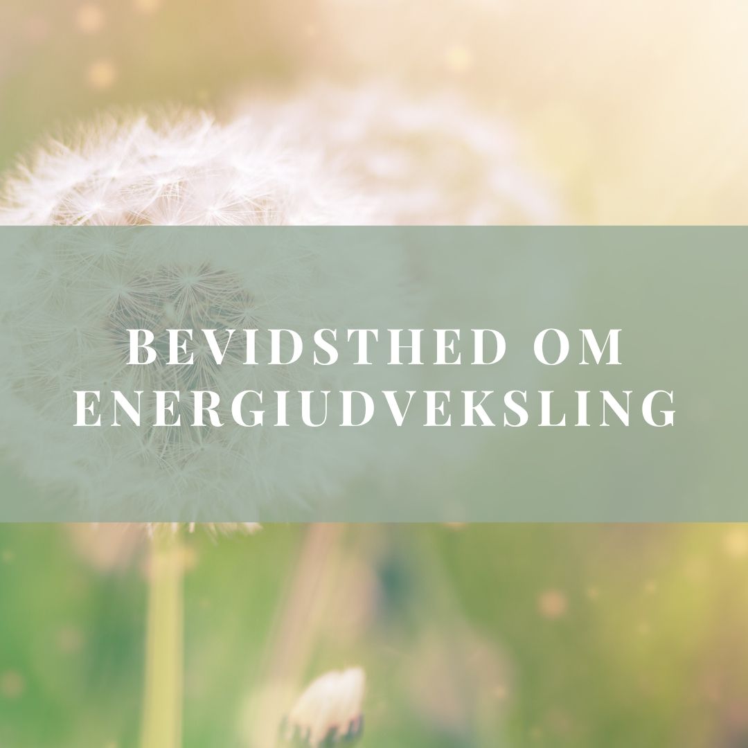Bevidsthed om energiudveksling