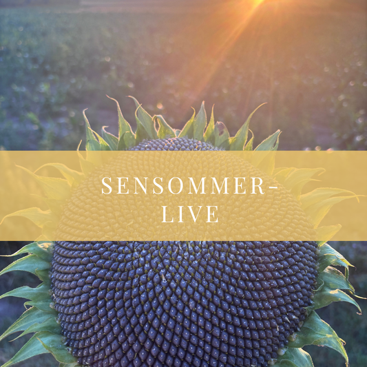 Årstids-live: sensommer 6. september
