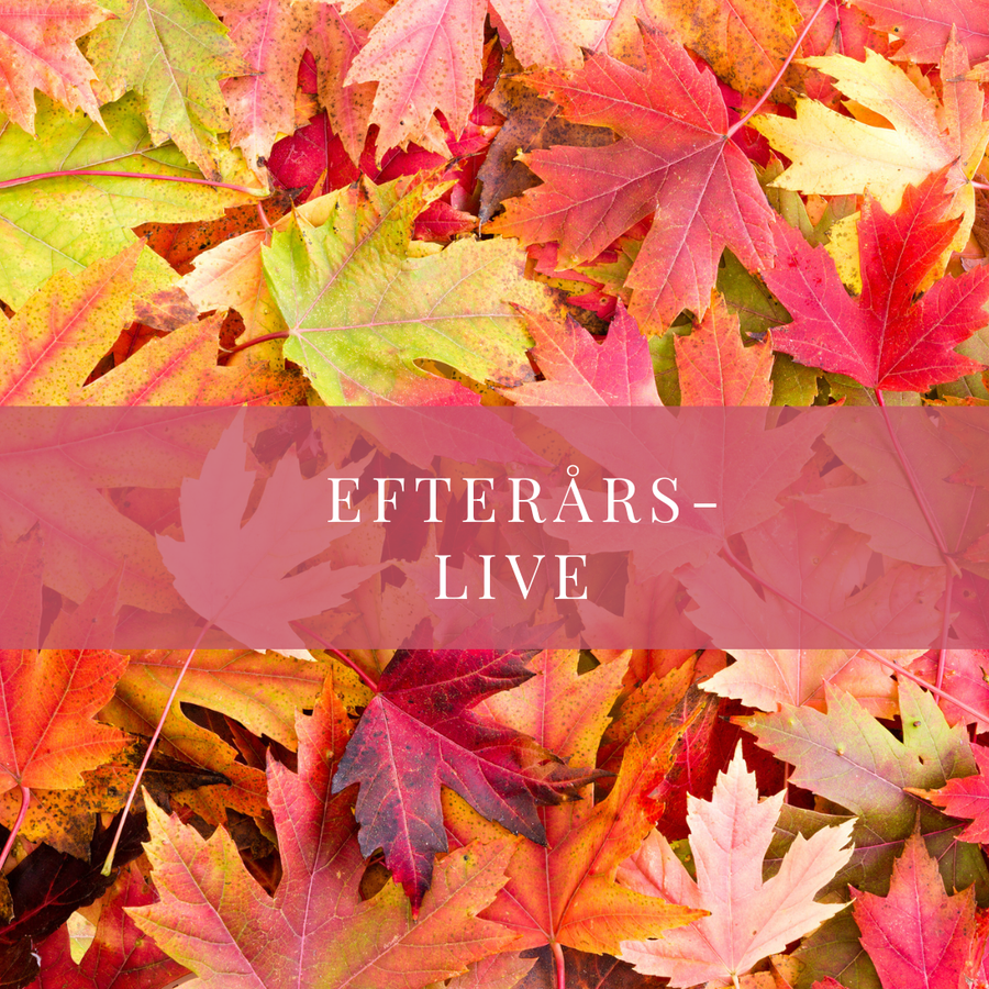 Efterårs-live