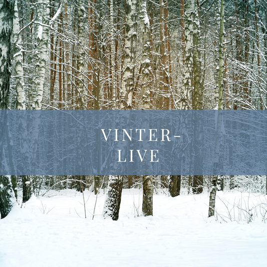 Årstids-live: vinter 31. januar