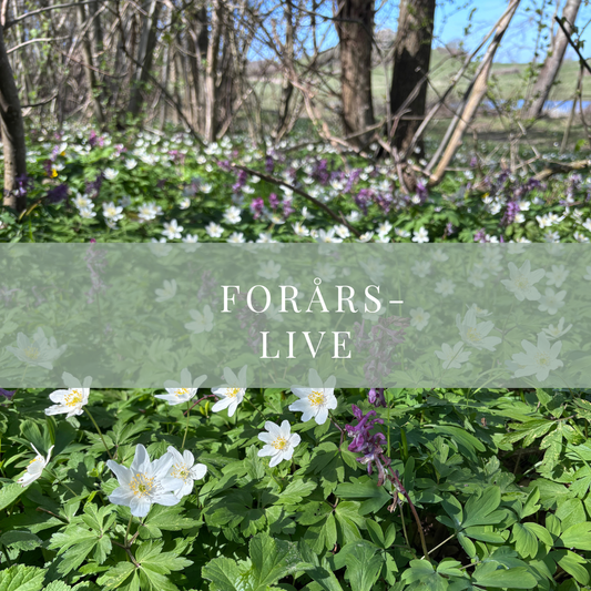 Årstids-live: forår 11. april 2027