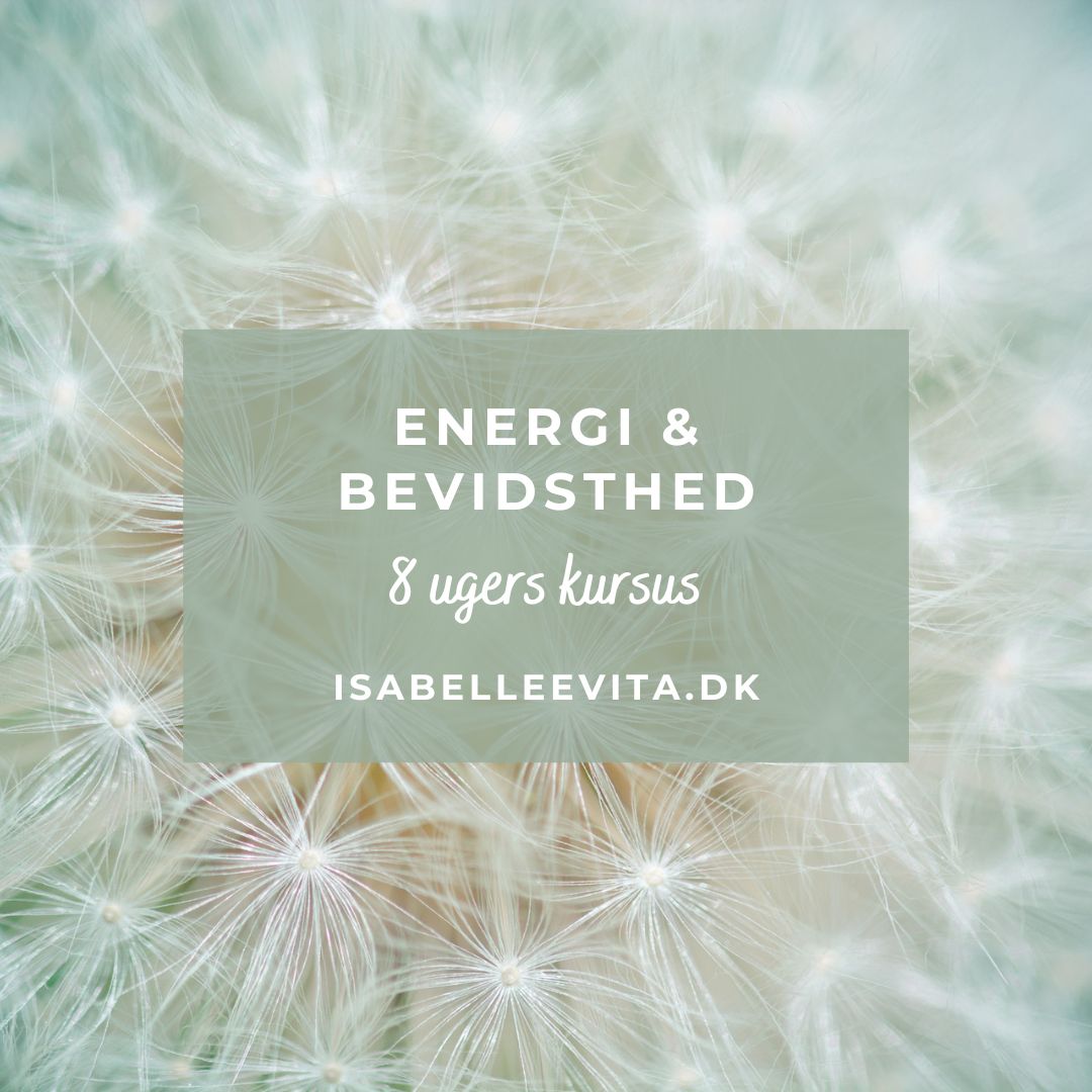 Kursus i energi og bevidsthed - opstart 11. august