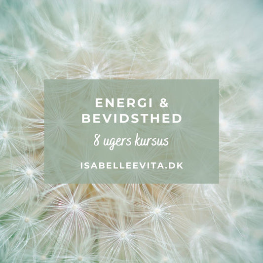 Kursus i energi og bevidsthed - opstart 11. august