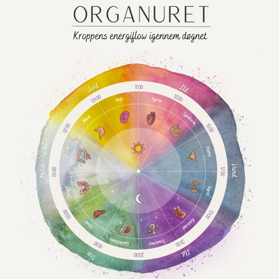 Plakat: Organuret