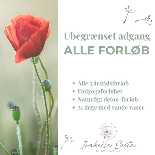 SENSOMMERTILBUD Ubegrænset adgang: alle forløb
