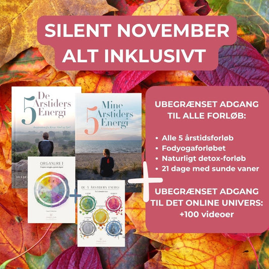 SILENT NOVEMBER TILBUD - ALT INKLUSIVT: Bogpakke + plakatpakke + Alle online forløb + hele det Online Univers